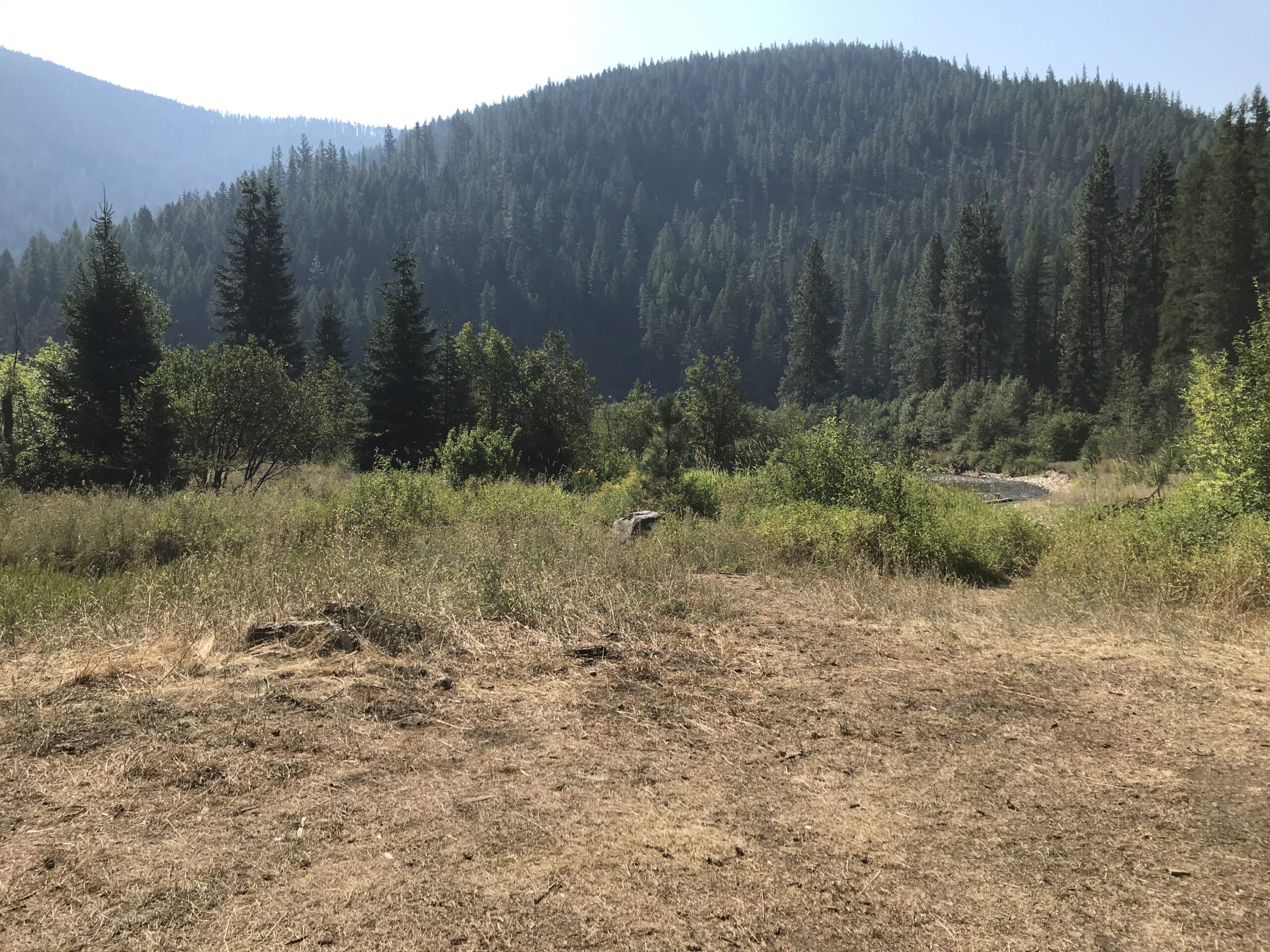 Forest Service seeking public feedback on Wilkes Cherry Project