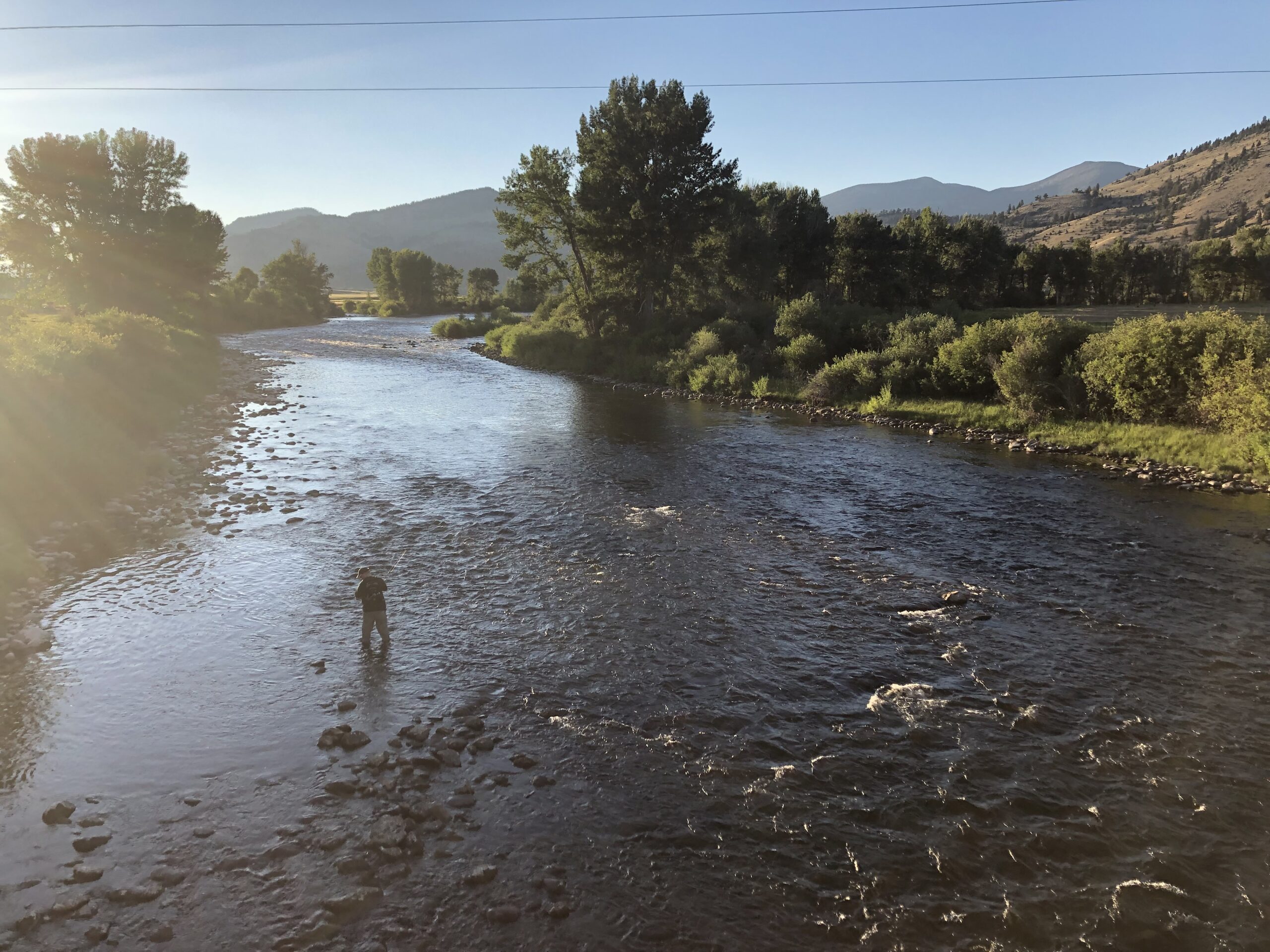 FWP HIRES ADDITIONAL STAFF FOR FISH MONITORING IN JEFFERSON BASIN
