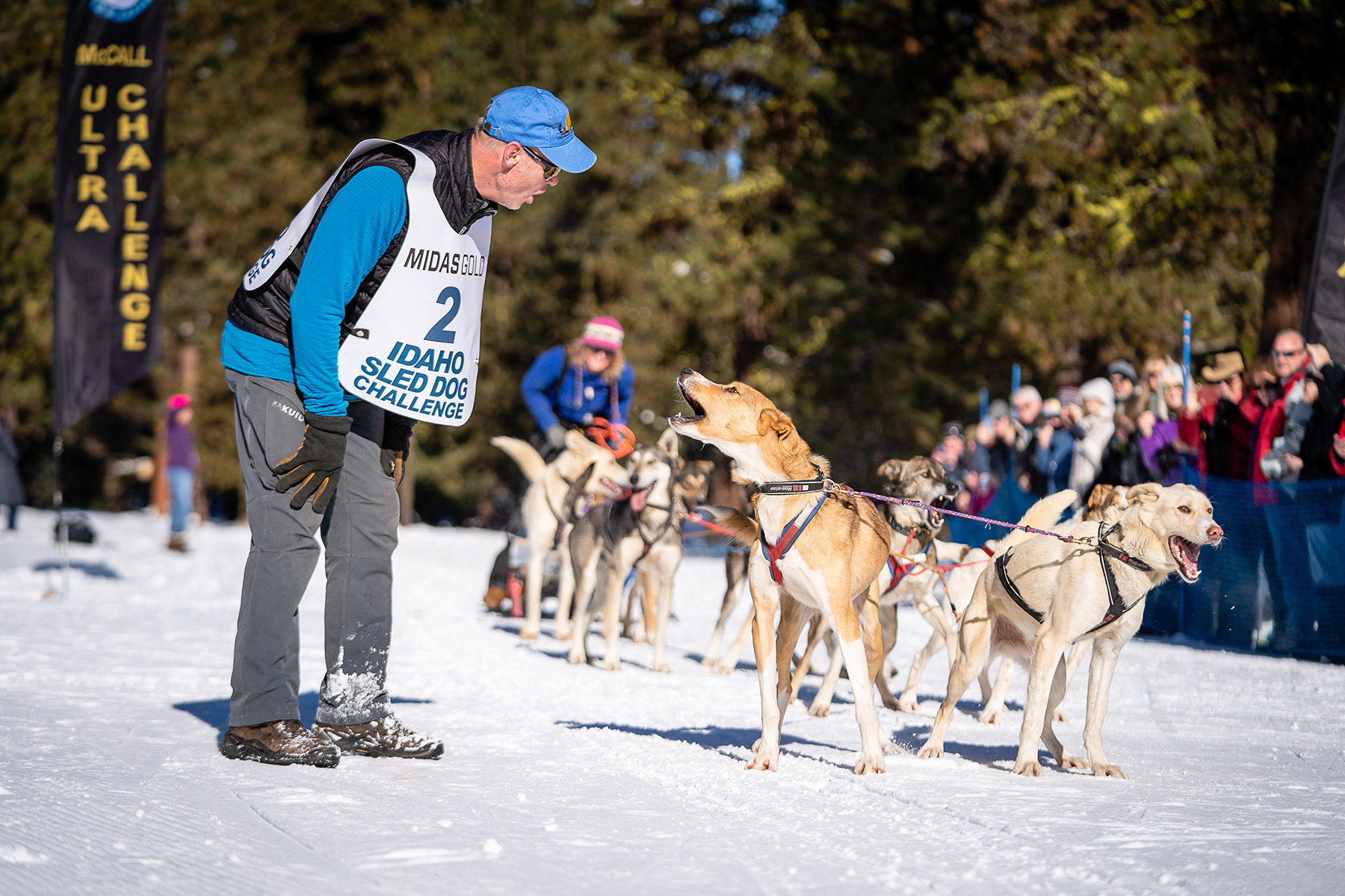 Montanans to defend titles in Idaho Sled Dog Race
