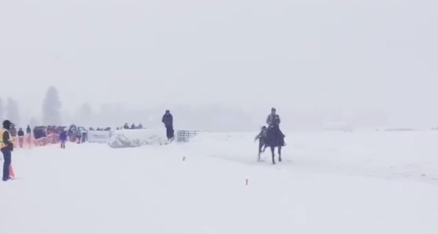 Skijoring back in Montana next weekend