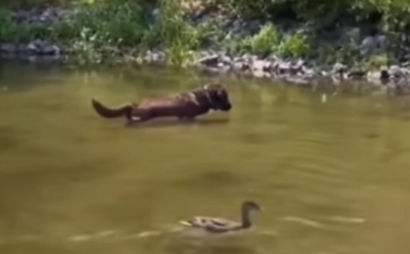 You’re doing it wrong…or are you?