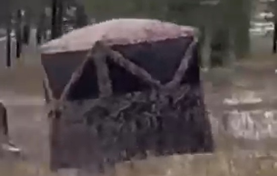 When you realize you need to hunt where the deer are…