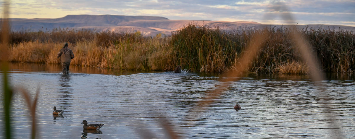 Reminder for waterfowl hunters in the Panhandle: season end dates differ from last year