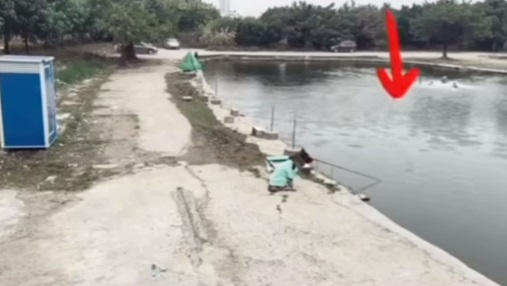 Dog takes over fishing