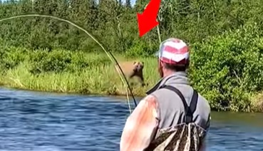 Grizzly bears and fishermen