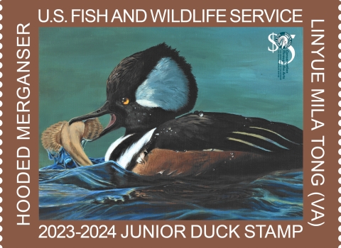 Call for Student Artists to Participate in Wyoming Junior Duck Stamp Contest