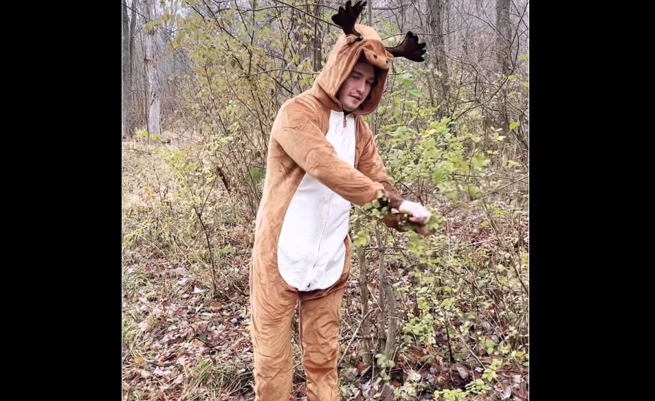 Deer’s POV living on public vs. private land