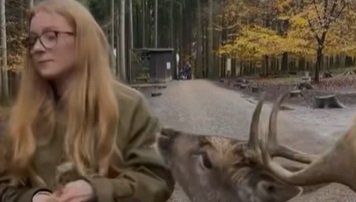 Another reminder to not feed wildlife