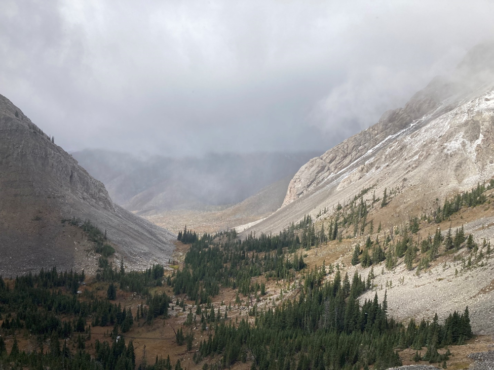 Reauthorization of existing outfitter and guide permits to begin for Bob Marshall Wilderness Complex