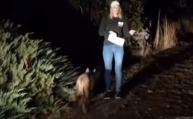 When the dog that walks by you is a really big cat…