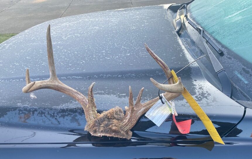 When Snail Mail Leads to Solving Deer Poaching Case