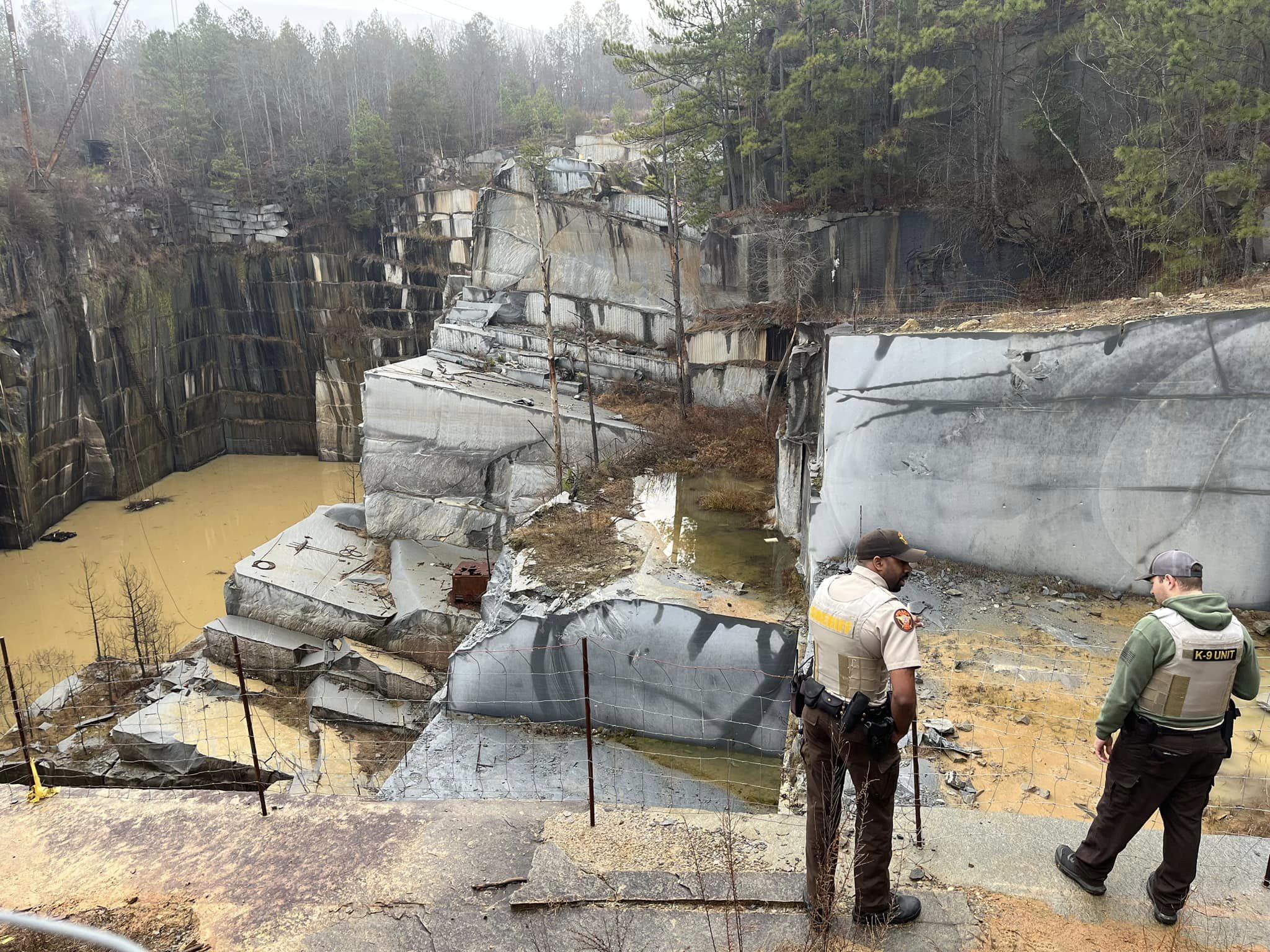 Hunting dog survives chasing pigs off 85′ cliff