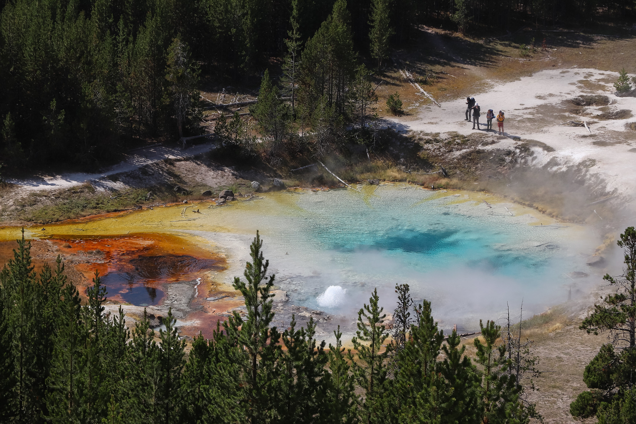 325.5 million visits to national parks in 2023, 4.5 million visits to Yellowstone National Park