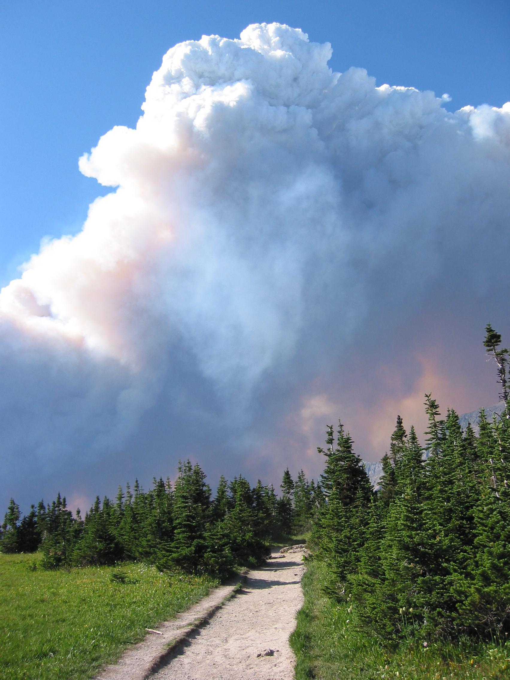 Public Scoping Begins for Glacier National Park’s  Fire Management Plan EA
