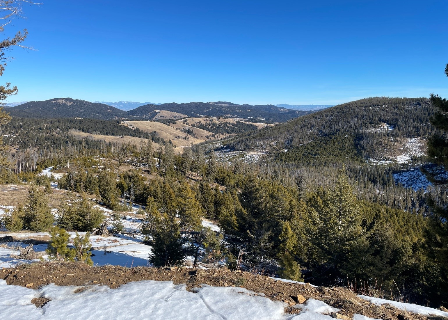 Variable January Weather Concludes with a General Lack of Snow in Montana