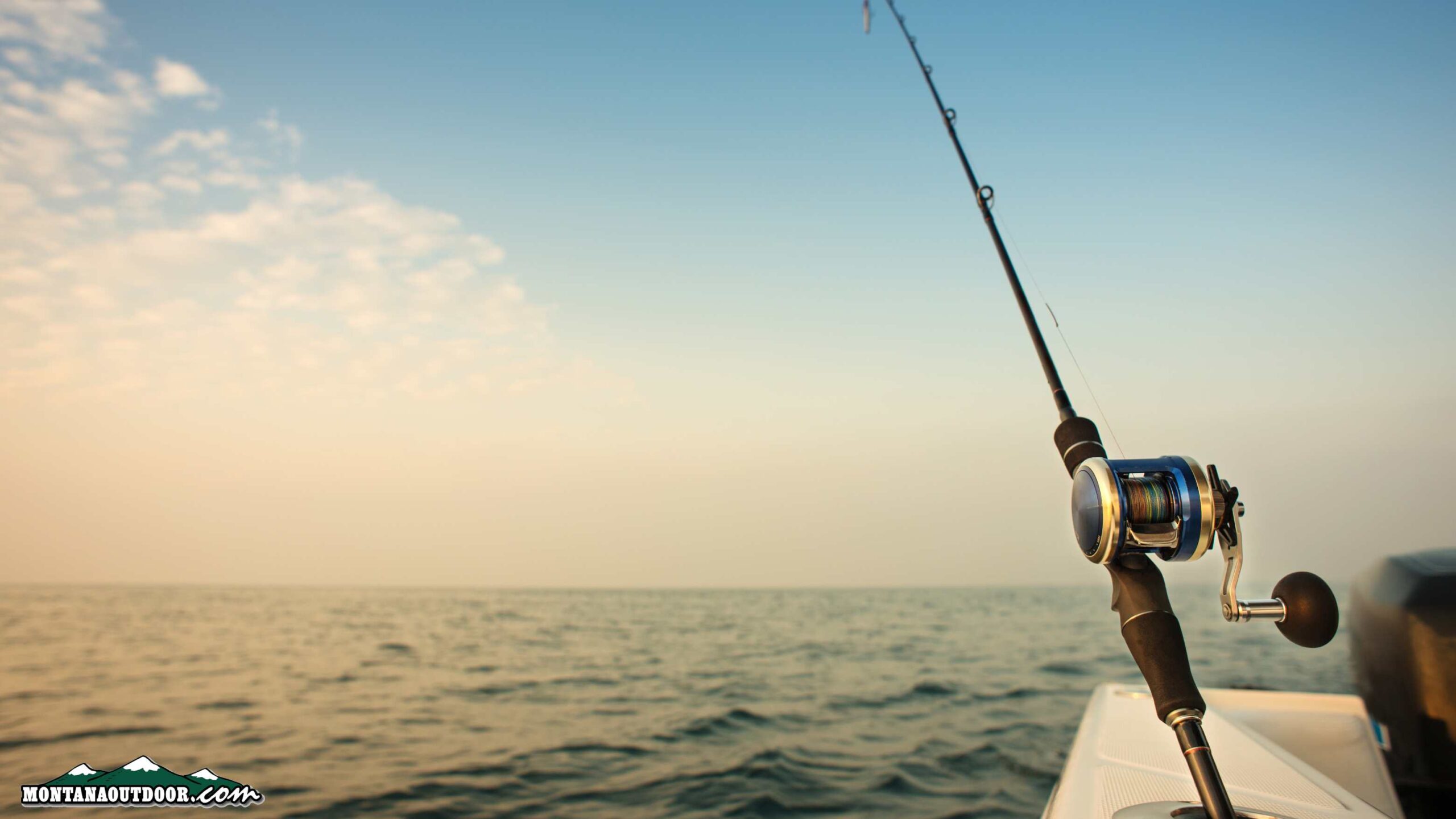 2023-2024 Fishing License Valid through February