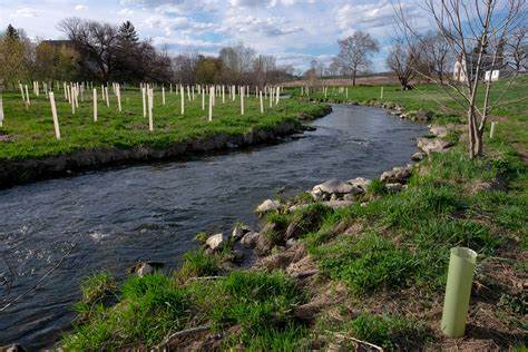 LIVING SHORELINES!!! by Montana Grant