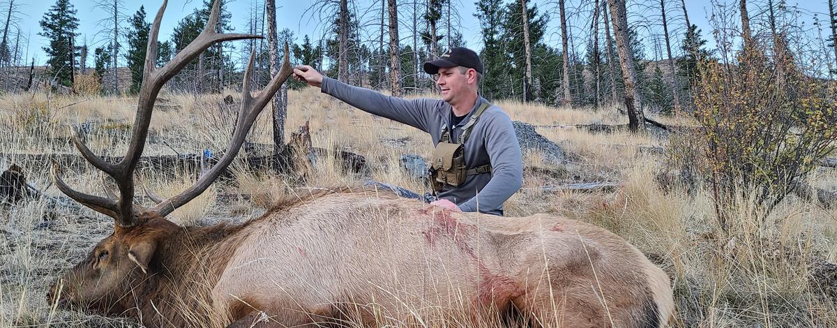 2023 elk harvest in Idaho the lowest in a decade