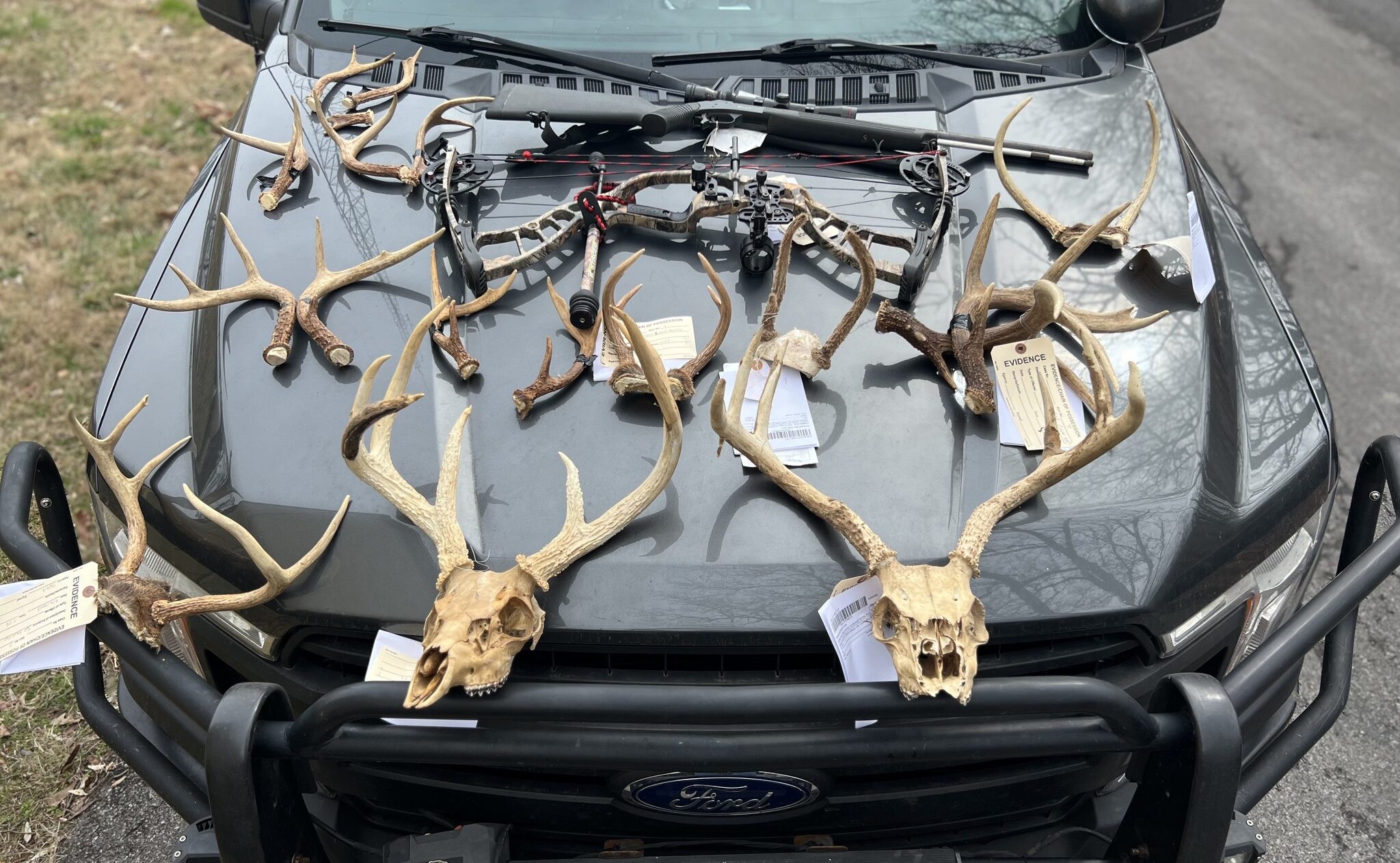 Aggravated Assault in Tennessee Deer Poaching Case Results in Felony Conviction