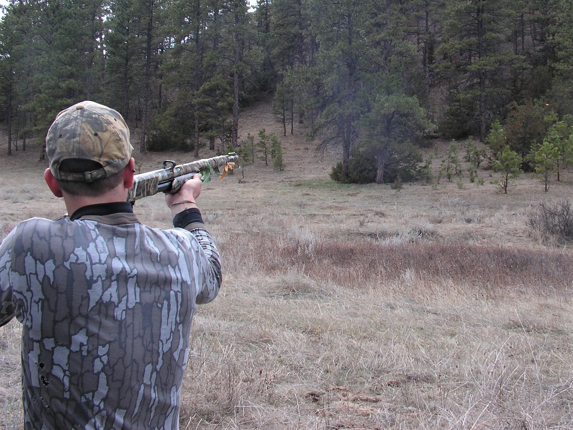 TARGETING TURKEYS!!! by Montana Grant