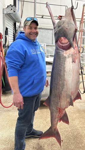 Angler snags world-record paddlefish