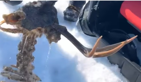 A catch of a lifetime