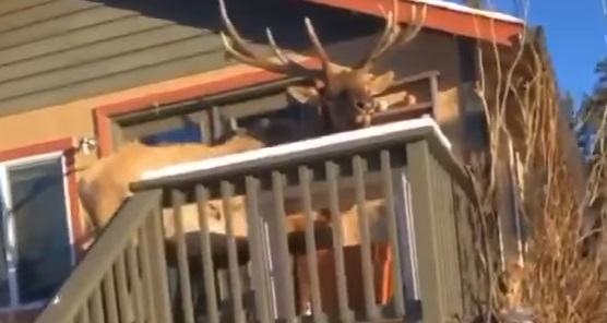 Well, hello there…