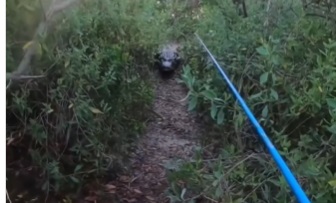 When you’re just trying to fish…