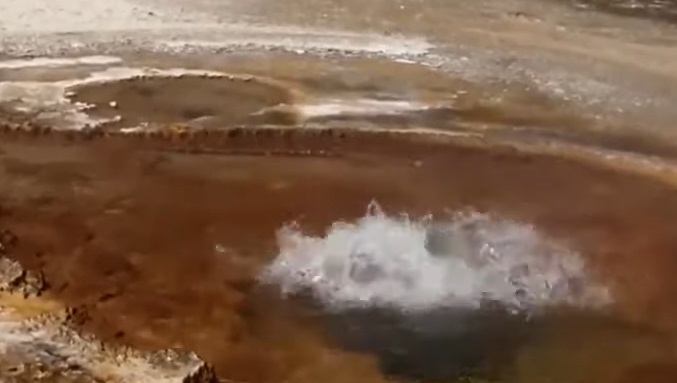 MORS Remember When Series: People cooked whole chickens in a YNP hot spring?
