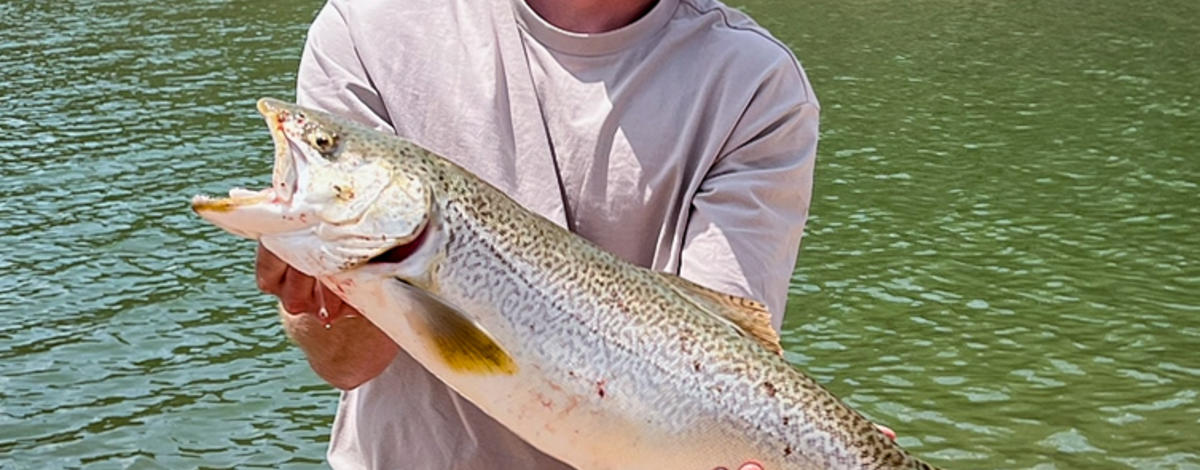 Idaho angler’s state record tiger trout catch removed from record books