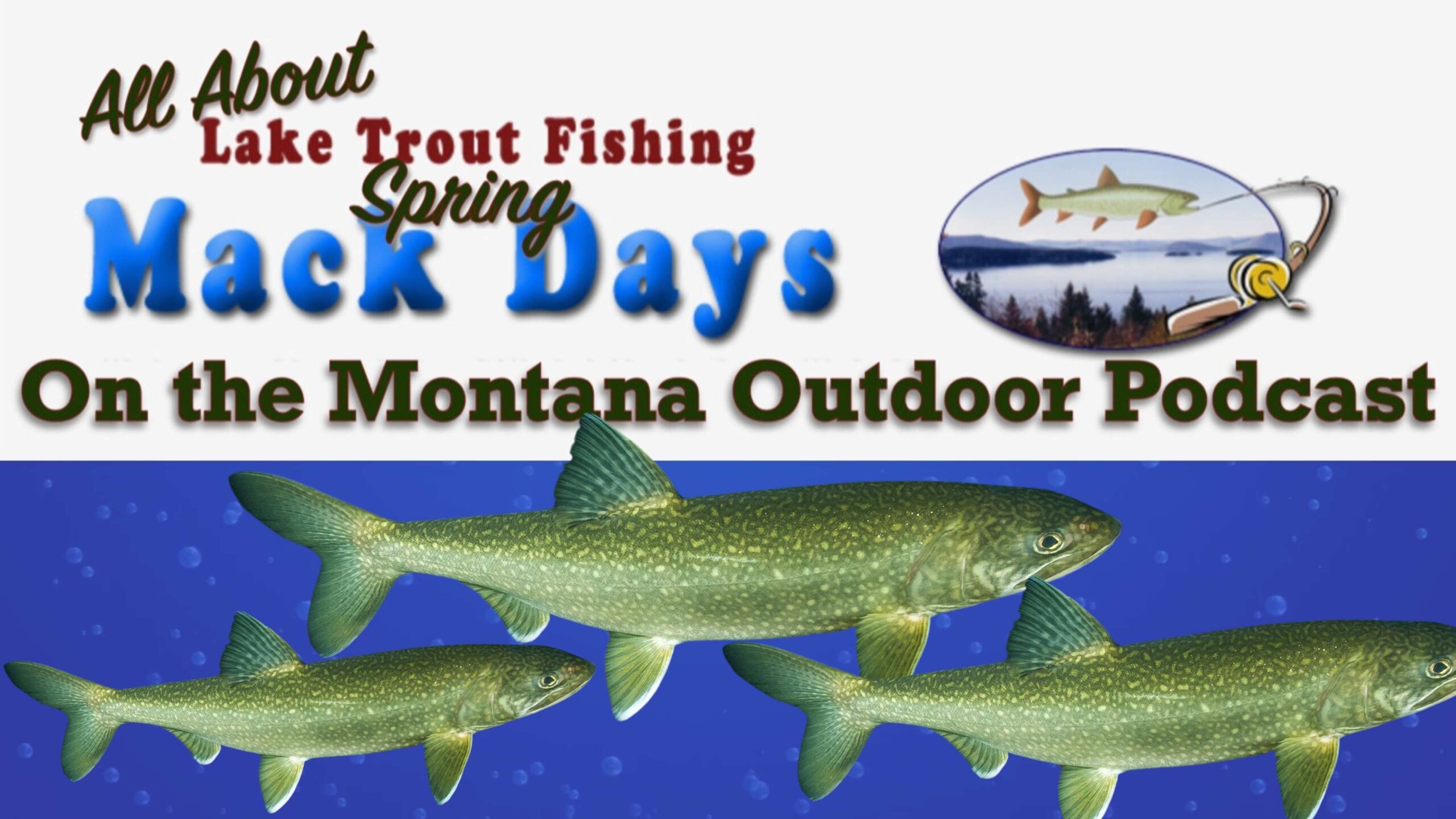 MT Outdoor Podcast: Imagine Getting Paid for Every Lake Trout You Catch!