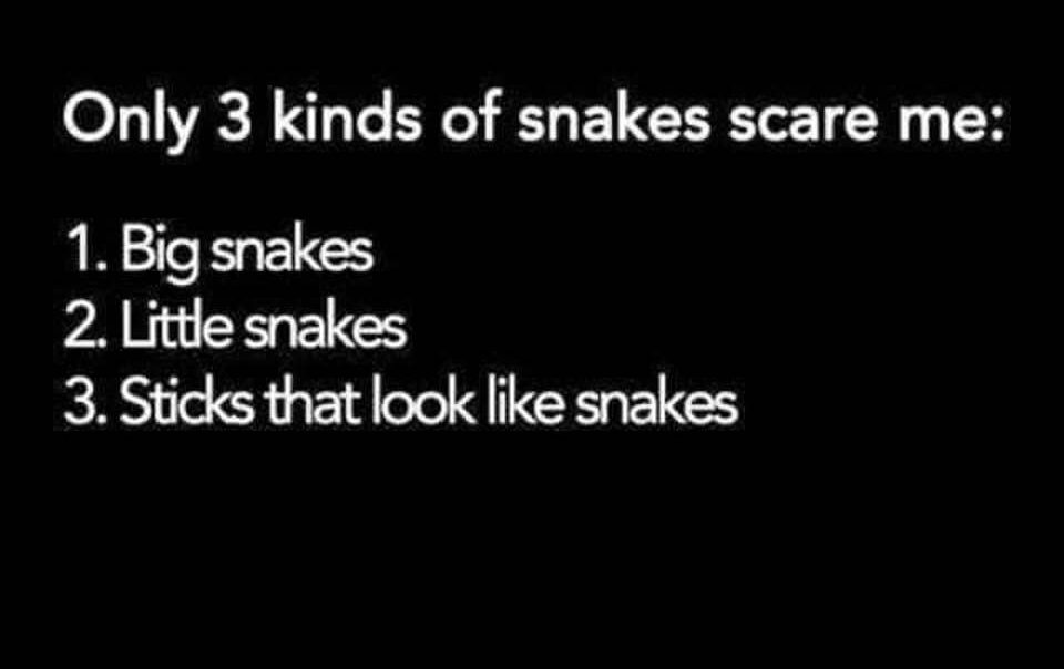 SSSSSNAKES!!! by Montana Grant
