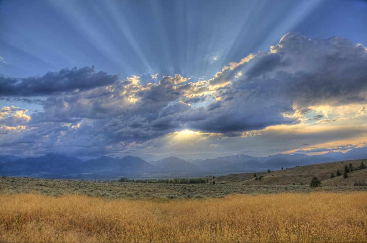 GOING TO CHURCH!!! by Montana Grant
