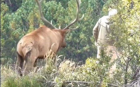 How close is too close?