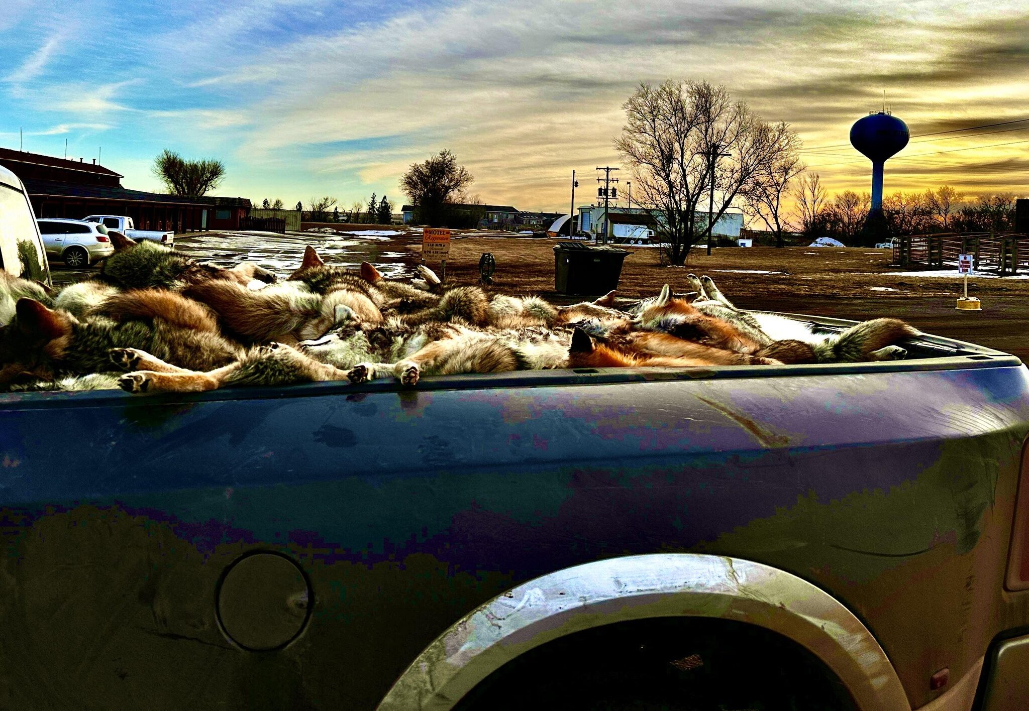FWP News: Trapping licenses for resident and nonresidents available for purchase