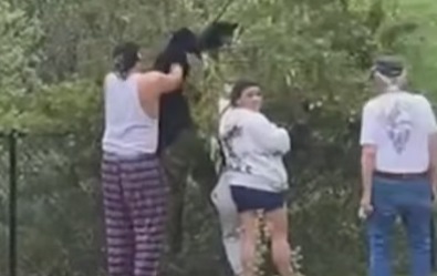 Group grabs bear cubs for photo
