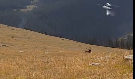 The perfect footage