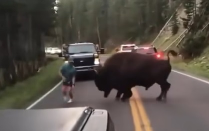 Tourons of National Parks Clip: Dose of Dumb