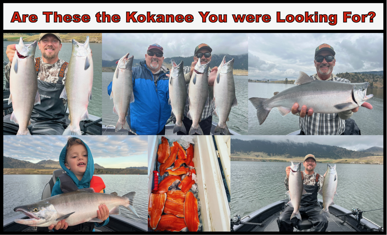 Unveiling the Secret of Massive Kokanee Salmon: A Montana Outdoor Podcast Special with Kit’s Tackle