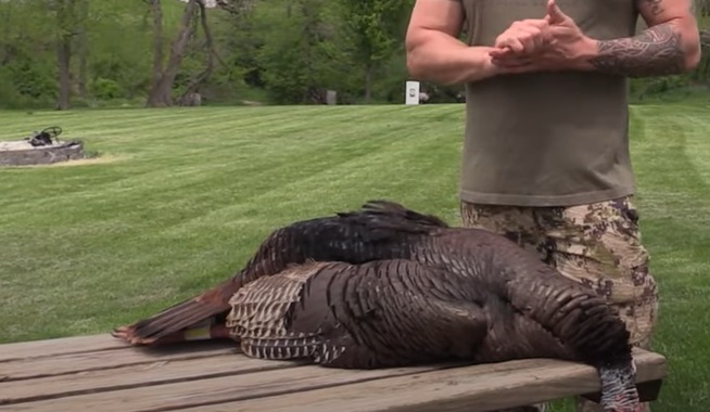 How to Clean a Wild Turkey