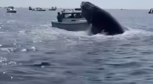 When you don’t expect the unexpected…