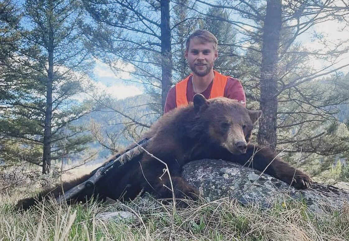 Nice Chocolate Bear Down