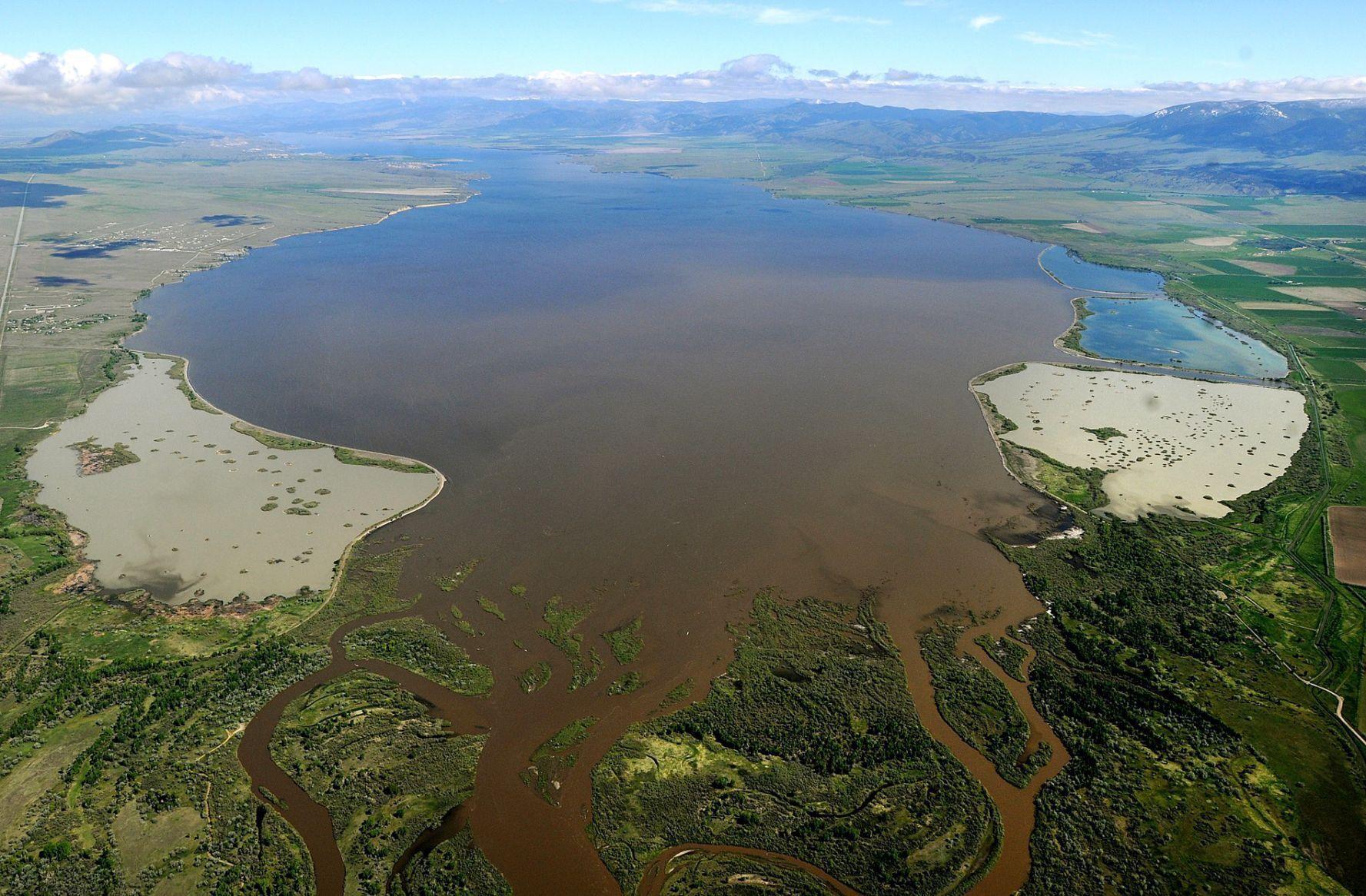 Brett French reports: Trout vs. walleye on Missouri River above Canyon Ferry