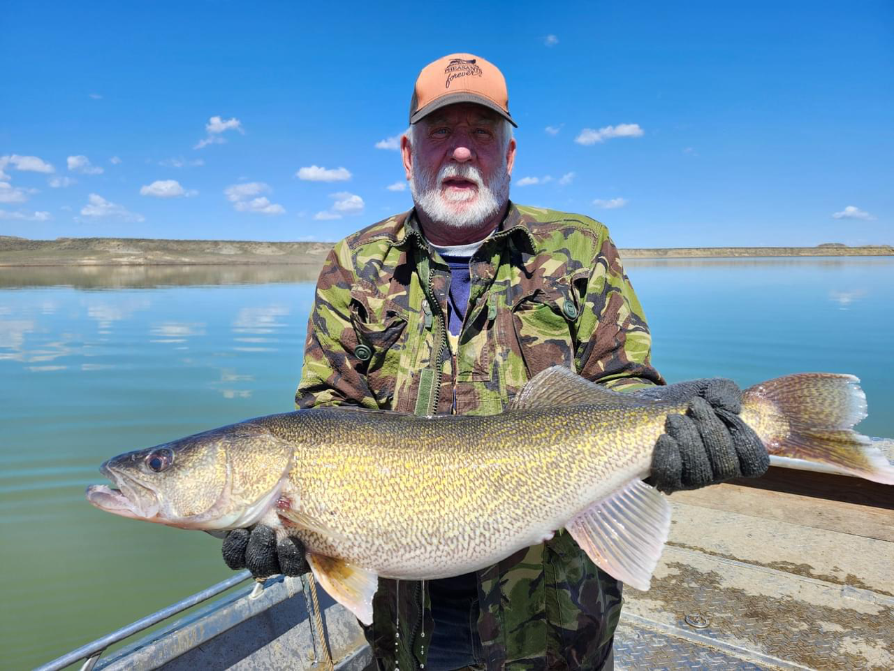Final walleye Egg Collection Count in Fort Peck