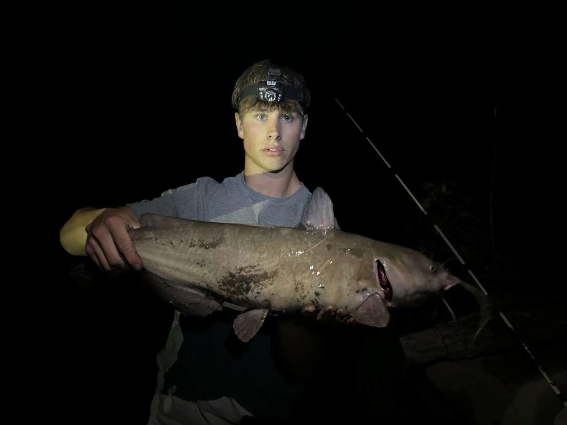 Catfishing the Yellowstone