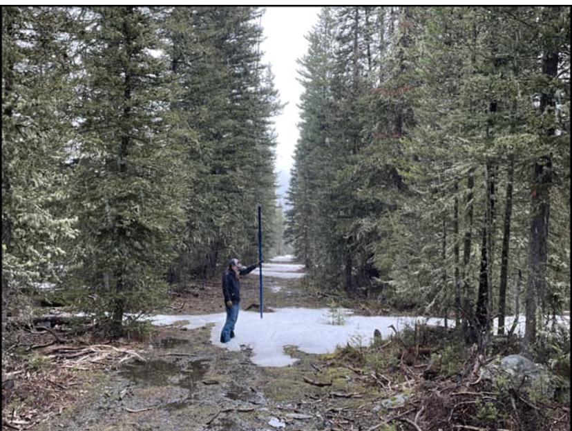 Low Snow Year in Montana Results in Below Normal Water Supply Forecasts for the Upcoming Season