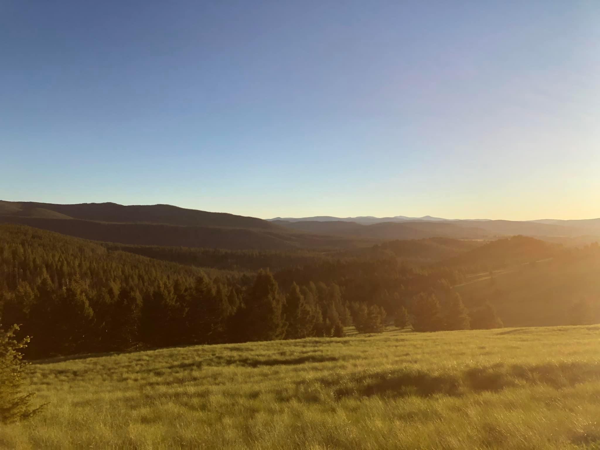 Memorial Day Weekend on the Bitterroot National Forest