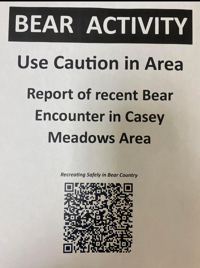 Person charged by grizzly in Casey Meadows area