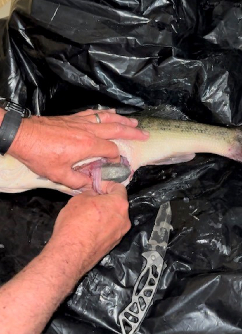Man arrested for fishing contest fraud