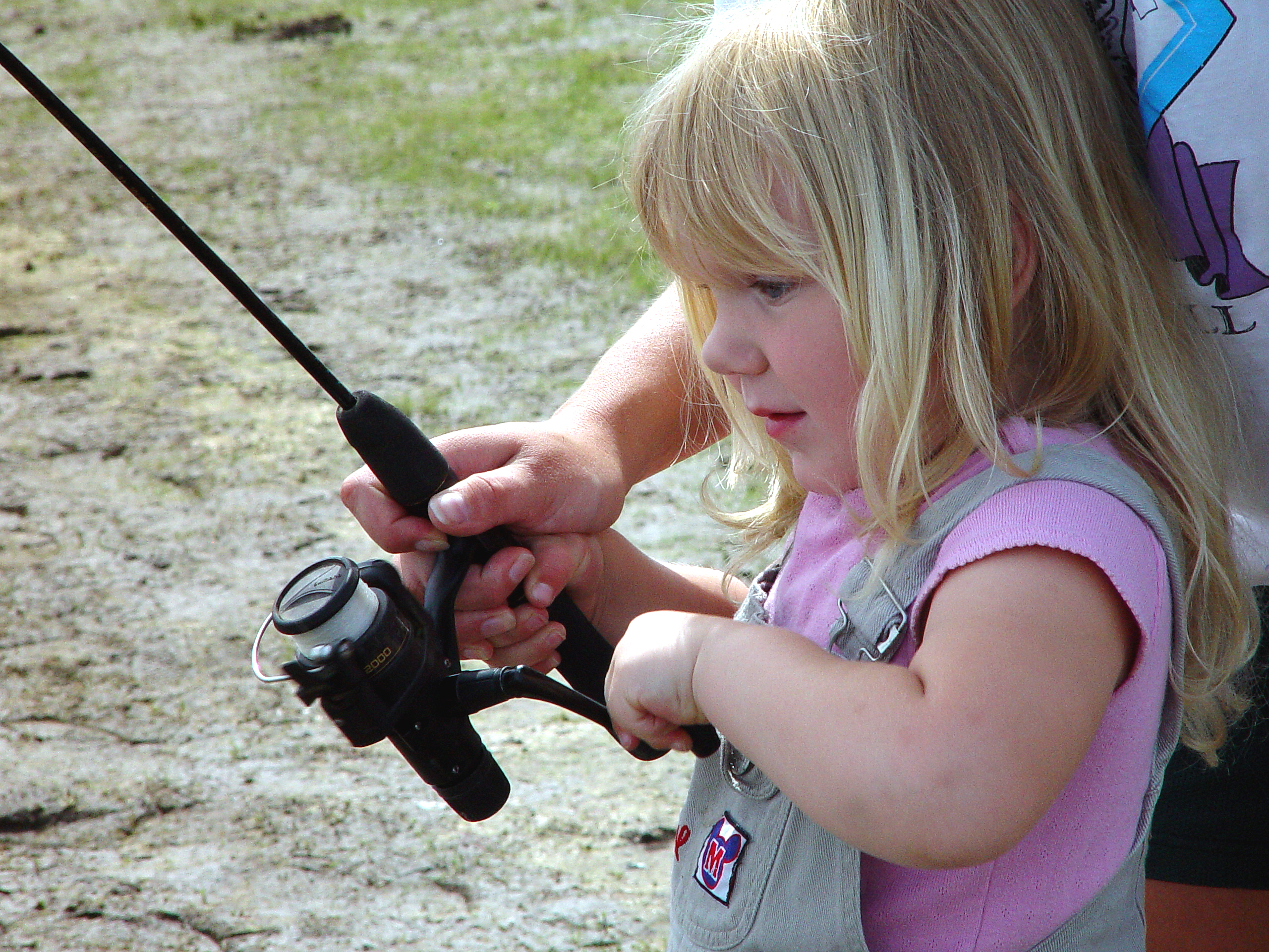 Free outdoor opportunities upcoming in nearby states